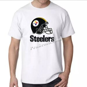 wholesale Sports helmet w/ steelers …