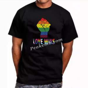 love wins custom heat transfer desi …