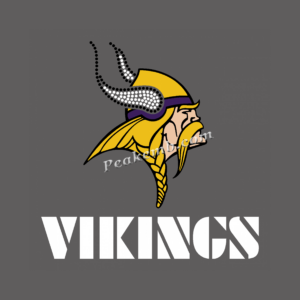 wholesale VIKINGS letters iron on h …